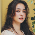 借机彻底的征服
